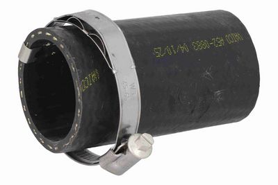 FURTUN EAR SUPRAALIMENTARE