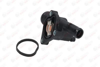 FLANSA LICHID RACIRE BIRTH 8696 10