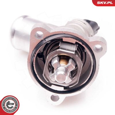 Termostatas, aušinimo skystis