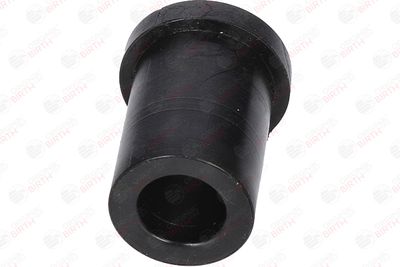 BUCSA ARC FOI BIRTH 4289 10