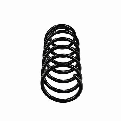 ARC SPIRAL EIBACH R10971 1