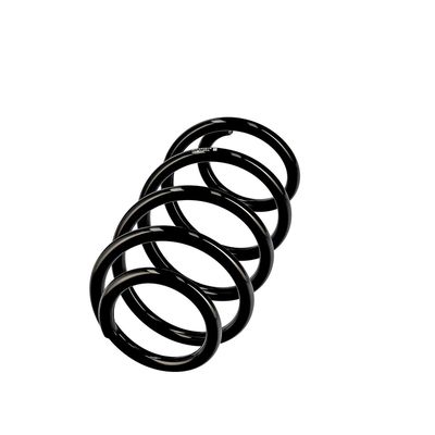 ARC SPIRAL EIBACH R10769 14