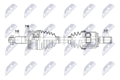 NPW-HY-667