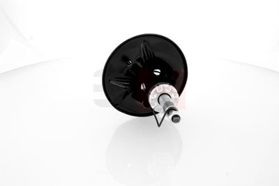 AMORTIZOR GH GH353054 17