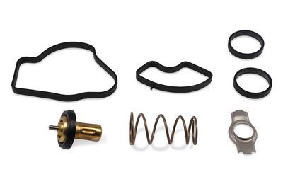 TERMOSTAT LICHID RACIRE