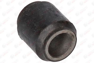 BUCSA ARBORE DE DIRECTIE BIRTH 4738 12