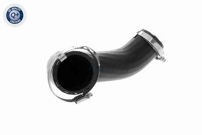 LADELUFTSCHLAUCH VAICO V251058 8