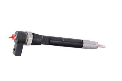 INJECTOR REMANTE 002003001108R 37