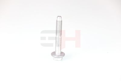 SURUB CAPAT DE AX GH GH392528 12