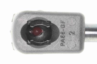 AMORTIZOR PORTBAGAJ ACKOJA A520155 2