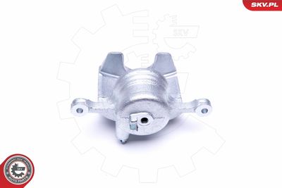 Brake Caliper 46SKV222