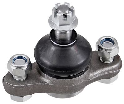 Šarnyras / girgždukas