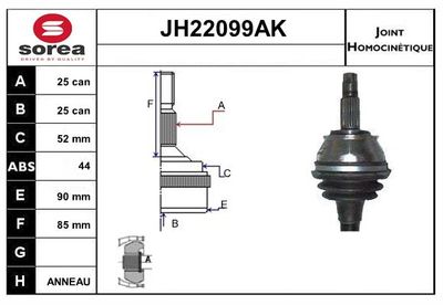 SET ARTICULATIE PLANETARA SNRA JH22099AK