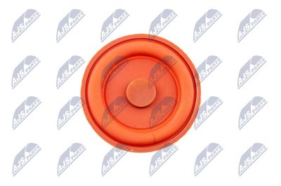 CAPAC CULBUTOR NTY BPZPL006 1