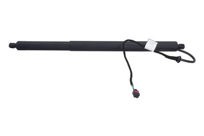 Galinių durų elektros variklis