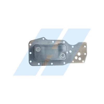 360 Grad Ansicht 36