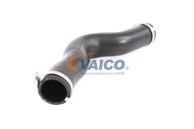 FURTUN EAR SUPRAALIMENTARE VAICO V401448 53