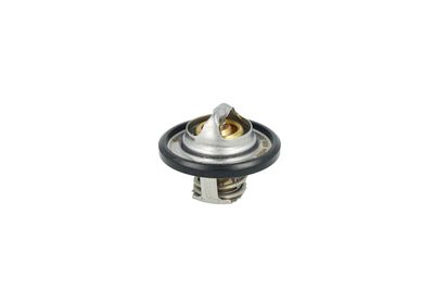 TERMOSTAT LICHID RACIRE NRF 725544 13