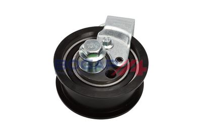 ROLA INTINZATOR CUREA DISTRIBUTIE BOGAP A1317105 5