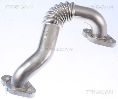 Potrubí, AGR-ventil TRISCAN 8811 29109