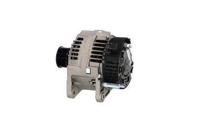 GENERATOR / ALTERNATOR REMANTE 011003000645R 13
