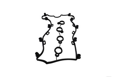 GARNITURA CAPAC SUPAPE AUTOMEGA 190058210 3