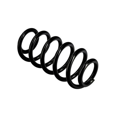 ARC SPIRAL EIBACH R10137 22