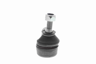 CAP DE BARA ACKOJA A261171 7