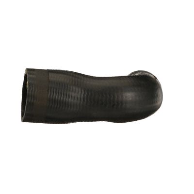 LADELUFTSCHLAUCH GATES 090309 11