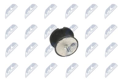 SUPORT MOTOR NTY ZPSBM010 36