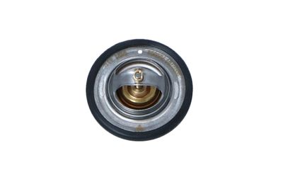 TERMOSTAT LICHID RACIRE NRF 725065 7