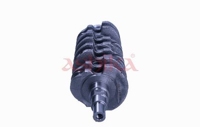 ARBORE COTIT ASHIKA 18DW001 1
