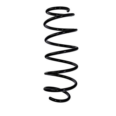 ARC SPIRAL EIBACH R10255 25