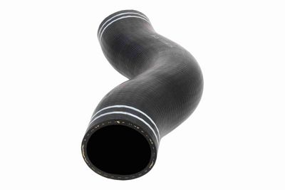 FURTUN EAR SUPRAALIMENTARE ACKOJA A380297 4