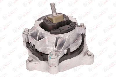 SUPORT MOTOR BIRTH 57031 11