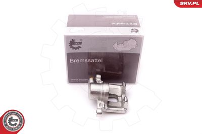 Brake Caliper 34SKV313