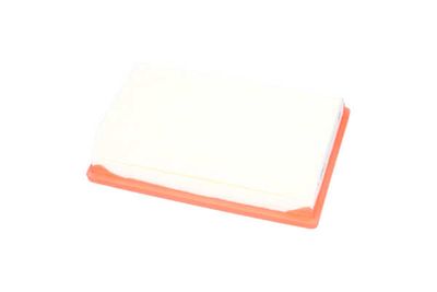 FILTRU AER AMC Filter FAF10946 13