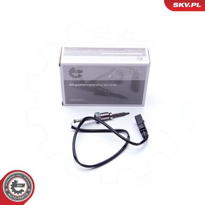 Sensor, Abgastemperatur