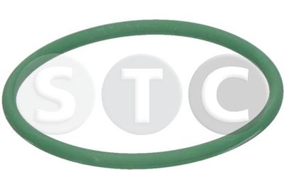 Těsnění, dmychadlo STC T477774