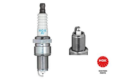 Spark Plug 3971