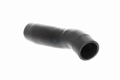FURTUN EAR SUPRAALIMENTARE ACKOJA A529602 3
