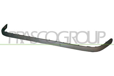 ZIER-/SCHUTZLEISTE STOßFäNGER