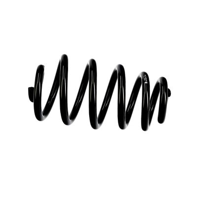 ARC SPIRAL EIBACH R10574 19