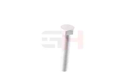 SURUB CAPAT DE AX GH GH392506 10