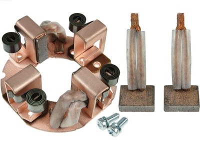 AS-PL Halter, Kohlebürsten