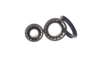 RADLAGERSATZ SKF VKBA530 38