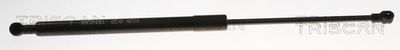 AMORTIZOR PORTBAGAJ TRISCAN 871013297