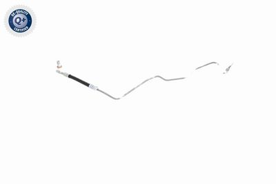 CONDUCTE FRANA VAICO V101906 10