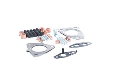 SET MONTAJ TURBOCOMPRESOR BTS Turbo T931520ABS 35