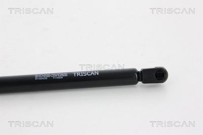 Amortizor portbagaj TRISCAN 8710 24235